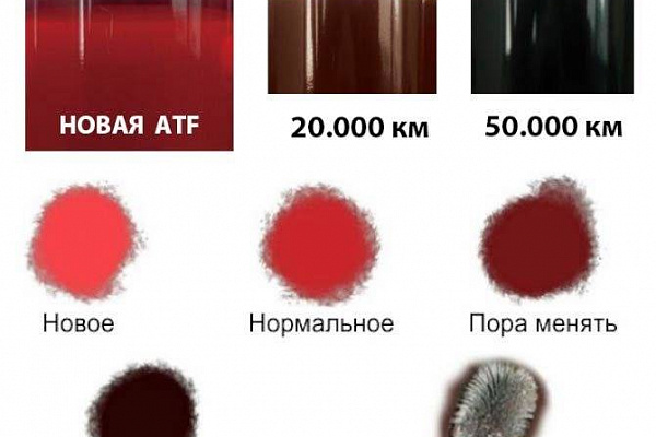 Замена масла в АКПП, МКПП и вариатора